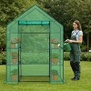 SEVOBAL Greenhouse Outdoor Durable PE Plant Green House for Frost Protection Shelf Clips Roll-up Zipper Door Walk-in for Planter, Green, 99"*37"*10" - 2 of 4