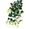 Northlight 34.75" Pothos Plant Artificial Spring Bush - Green - 3 of 4