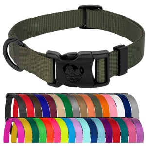 Country Brook Petz Everyday Nylon Dog Collar - 1 of 4