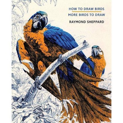 How to Draw Birds / More Birds to Draw - by  Raymond Sheppard (Paperback)