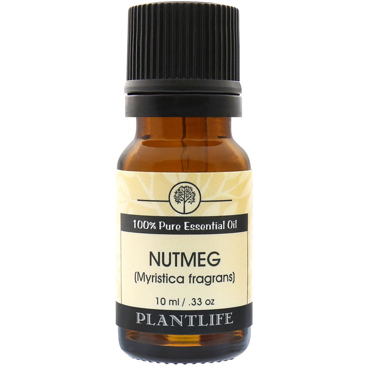 Plantlife Nutmeg Aromatherapy Essential Oil – 100% Pure, Therapeutic Grade, No Additives or Fillers, 10 ml