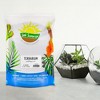 Soil Sunrise Terrarium Potting Soil Mix, w/ Blended Filtering Charcoal for Terrariums - 2 of 4
