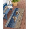 Liora Manne Marina Coastal Indoor/Outdoor Pillow.. - 2 of 4