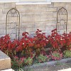 Sunnydaze 2-Piece Arched Climbing Plants Wall Trellis with Flower Pot Supports - 4 of 4