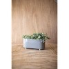 Oblong Planter Gray Metal - Foreside Home & Garden - 2 of 4