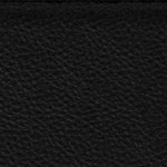 tampa bay buccaneers