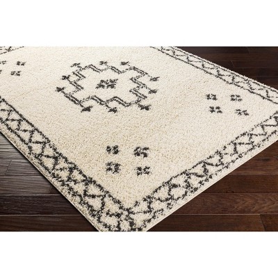 Hauteloom Cheam Living Room, Bedroom Area Rug - Bohemian, Transitional - Plush Pile