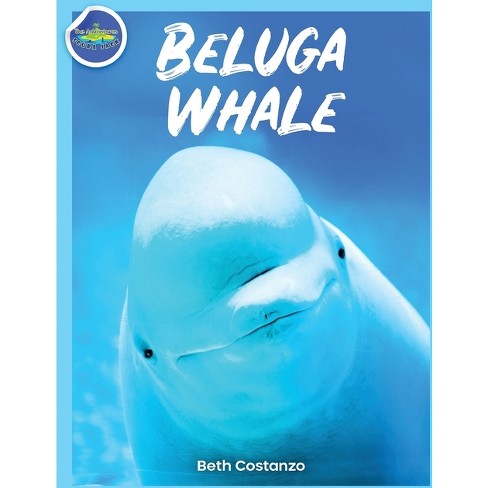 Did beluga actually die｜TikTok Search