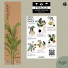 Maia Shop 5ft Artificial Palm Tree, Fake Plants for Home Decor, Indoor Tropical Decoration - 4 of 4