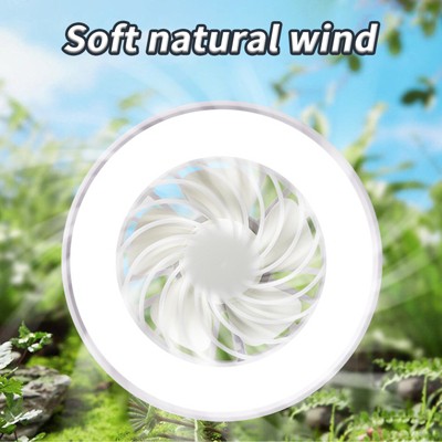 Ceiling Fan,Small Fan,Quiet Operation Eye Protection Fan for Bathroom Bedroom