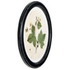 (Set of 4) 13.75" Wood Framed Wall Art Sets with Vintage Reproduction Botanical Print - Storied Home: Elegant Home Decor - 4 of 4