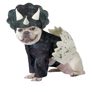 California Costumes Dino Pup Pet Costume, Large - 1 of 1