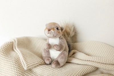 Squirrel stuffed store animal target