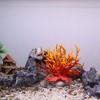 Unique Bargains Colorful Coral Reef Decor Mini Faux Coral Decor for Aquarium Decorations 6.5"x5.83" 1 Pcs - 2 of 4