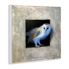 Stupell Industries Mysterious Barn Owl Peering Wall Plaque Art - 2 of 4