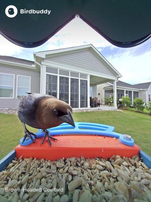 Guest review image 3 of 4, zoom in