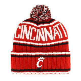 Nfl Cincinnati Bengals Saskatoon Knit Beanie : Target