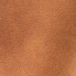 stellar orchid/black hue