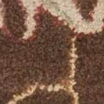 rust, dark red, dark brown, light brown, burnt orange, medium brown