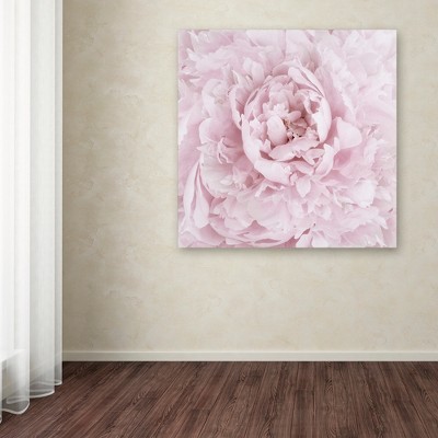 Pink Peony Flower Framed Canvas Art 35'' x 35''