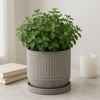 Ribbed Ceramic Plant Pot with Saucer for Indoor and Outdoor Use - Sleek Minimalist Planter for Living Room, Bedroom, or Office Decor - 6" Gray - 3 of 4