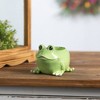 Melrose Mini Frog Planter (Set of 2) - 3 of 3