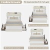 Coucheta Queen Upholstered Storage Bed Frame - Bookcase Headboard with 2 Drawers, Boucle Fabric Platform, No Box Spring, Beige - 4 of 4