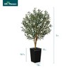 DR.Planzen 72" Artificial Olive Tree with Real Wood Branches - 6FT UV Resistant Indoor/Outdoor Fake Plant in 15.7" Planter (B/W/Coffee) - 4 of 4