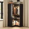 Famapy Black Elegant Corner Wardrobe with Glass Doors and LED Lights - image 2 of 4