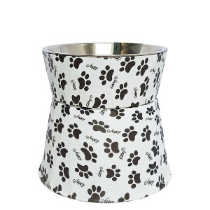 Paaaawaters 6" Anti-Vomiting Stainless Steel Pet Bowl for Small and Medium Dogs and Cats - Non-slip, Modern Design with Spine Protection - 1 of 4