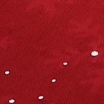 red-2*10ft