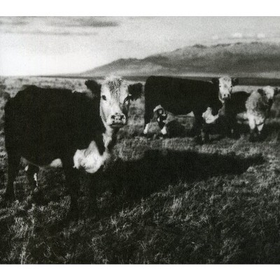 Mark Kozelek - The Finally (Digipak) (CD)