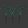 Northlight Set of 3 Pre-Lit Cherry Blossom Artificial Tree Branches, 72 Green LED Lights - 3 of 4