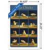 Trends International Lucia Heffernan Art - Yoga Chicks Framed Wall Poster Prints - 3 of 4