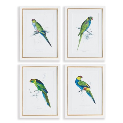 Plum & Post Colorful Parrots Prints St/4
