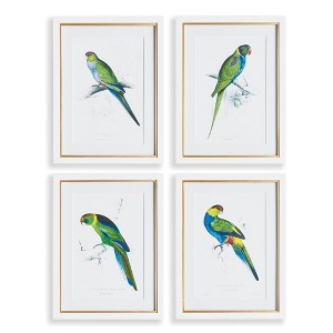 Plum & Post Colorful Parrots Prints St/4 - 1 of 3