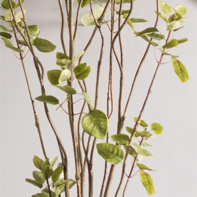 Elegant 6' Green Potted Faux Cotinus Coggygria Floor Plant