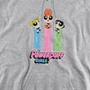 Powerpuff Girls The Girls Fly Adult Pull-Over Hoodie - 2 of 4