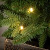 49"H Sullivans Artificial Medium LED Pine Christmas Tree Planter, Green, Indoor Christmas Decor - 2 of 4