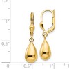 Black Bow Jewelry Polished 3D Teardrop Lever Back Earrings in 14k Yellow Gold - 4 of 4