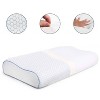 Dr. Pillow Sepoveda Memory Foam Pillow - 2 of 4