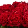 Nearly Natural Giant Rose Silk Flower Arrangement: Lifelike Red Roses with Greenery in Glass Vase - image 2 of 3