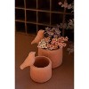 Bird Accent Concrete Planter 2x Set of 2 – Terracotta Pots 8.25" Tall by Kalalou - 3 of 3