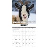 Willow Creek Press 2026 You Goat This Wall Calendar - 3 of 4