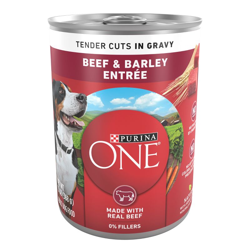 Purina ONE Smart Blend with Real Beef and Barley Adult Wet Dog Food Can - 13oz, 1 of 7