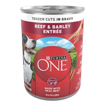Purina ONE Smart Blend with Real Beef and Barley Adult Wet Dog Food Can - 13oz