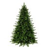 National Tree Company 7.5' Pre-lit Feel Real Full Vienna Fir Artificial Christmas Tree with Dual Color LED Lights: Hinged Branches - 3 of 4