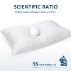 FAPO Premium Comfort Pillow, Soft, Breathable & Supportive for All Sleeping Positions, Removable Washable Cover, Great for Neck & Back Support - 2 of 4