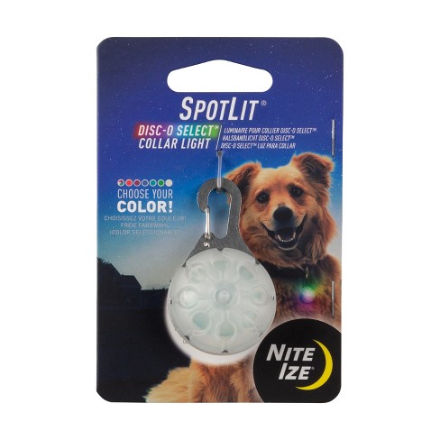 Night dog collar hotsell