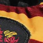 gryffindor